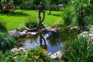 garden-pond-823722_1920